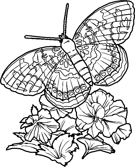 free coloring pages of flowers and butterflies. Butterflies,utterfly coloring book hearts, flowers butterflies New daffodils to color schemes color Numbers utterfly, rose,