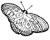 Click here for the coloring pages for bugs