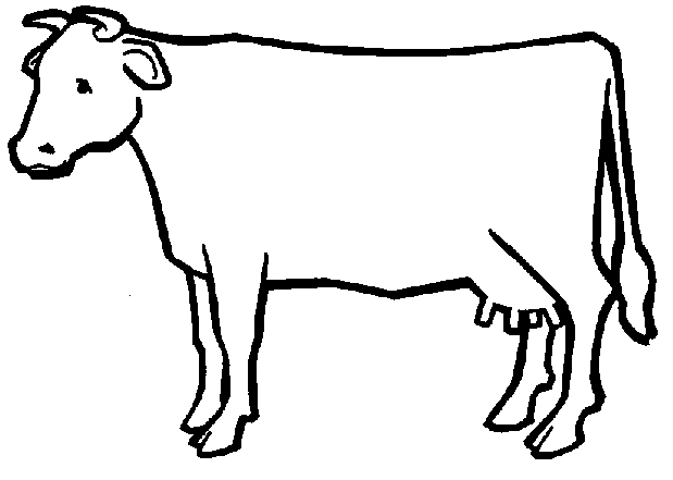 Farm Animals to Color