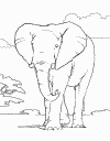 Click here to go to the animal coloring pages
