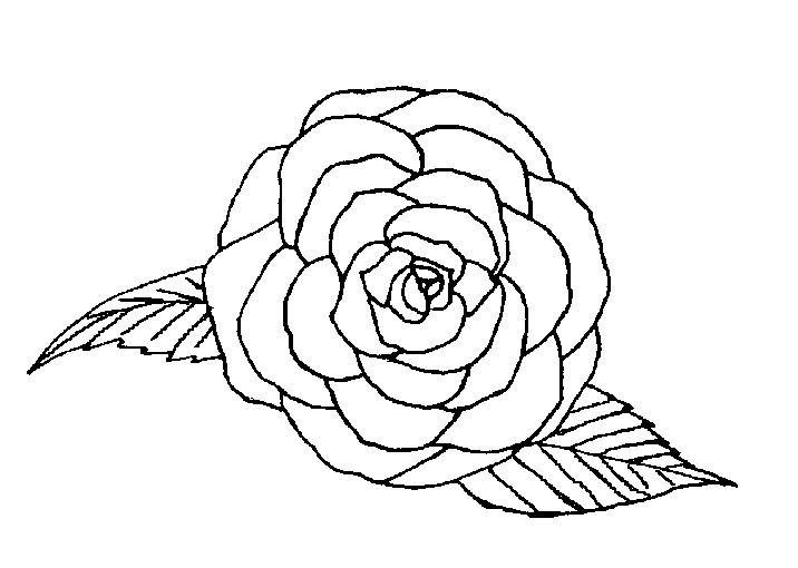 Crayola Coloring Pages